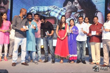 Nee Jathaga Nenundali Movie Audio Launch
